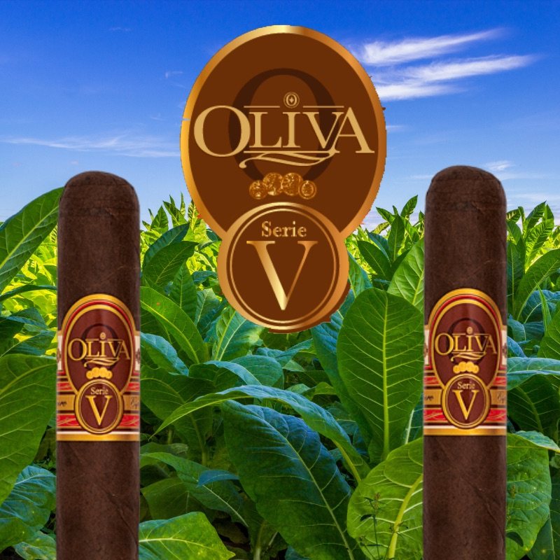 Oliva Serie V Maduro Cigars